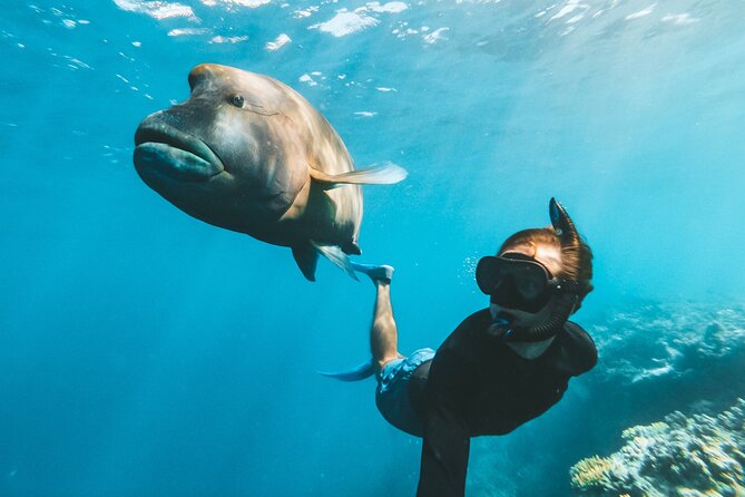 Great Barrier Reef Day Cruise to Reefworld - Staff and Service