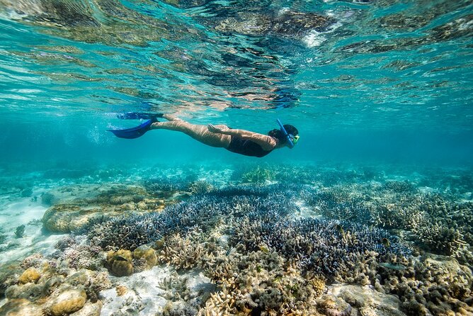 Great Barrier Reef Day Cruise to Reefworld - Recommendations and Overall Impressions