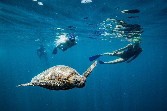 Great Barrier Reef Day Cruise to Reefworld - Facilities and Gear