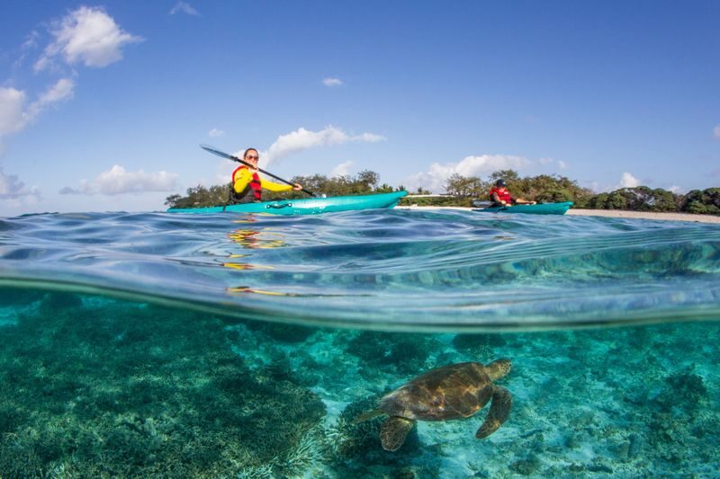 Great Barrier Reef Day Trip from Hervey Bay - At a glance: what makes this day trip different