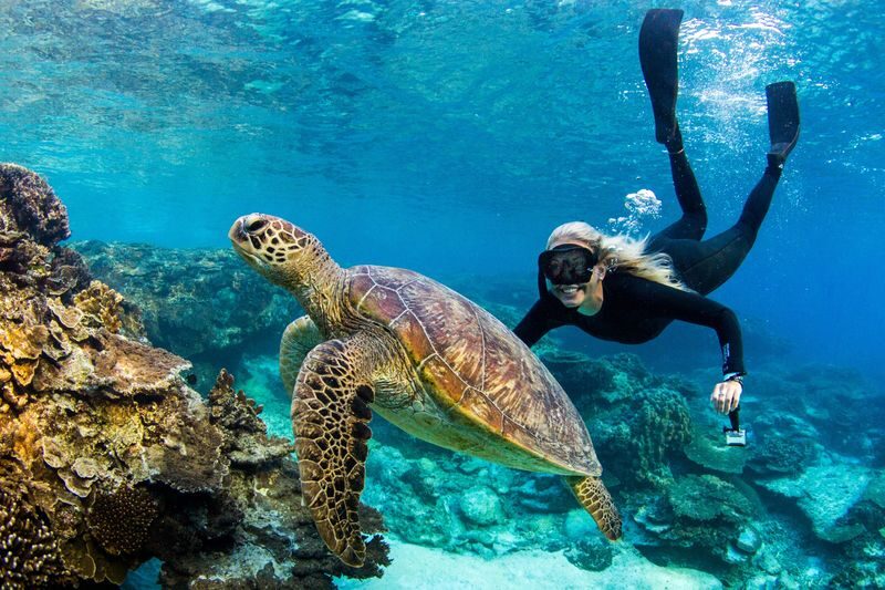 Great Barrier Reef Day Trip from Hervey Bay - Seeing the reef by boat and snorkel