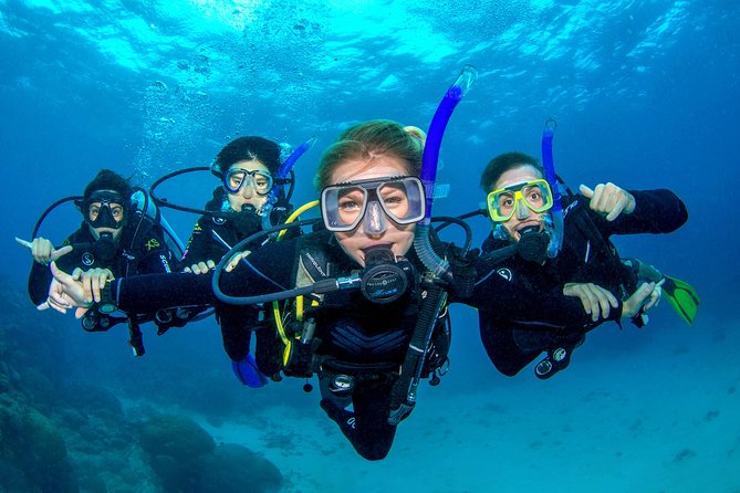 Great Barrier Reef Diving and Snorkeling Cruise From Cairns - Tour Details and Booking