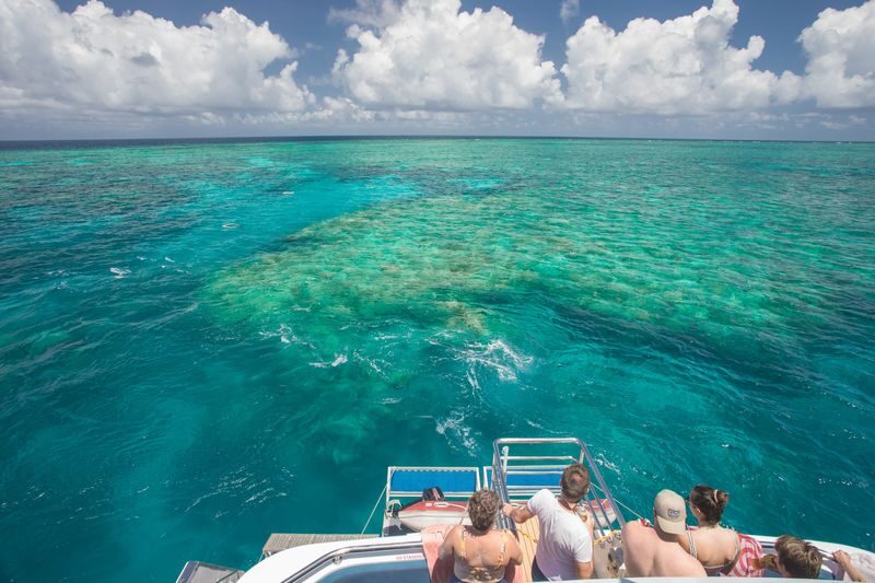 Great Barrier Reef Full Day Snorkel or Dive Tour from Cairns - Lunch and a second look at the reef