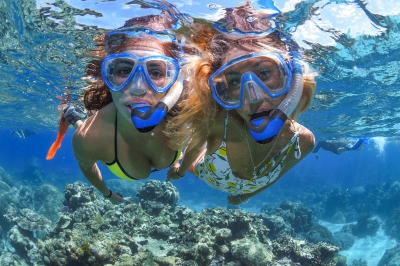 Great Barrier Reef Full Day Snorkel or Dive Tour from Cairns - The ride back, with a snack and a glass of wine