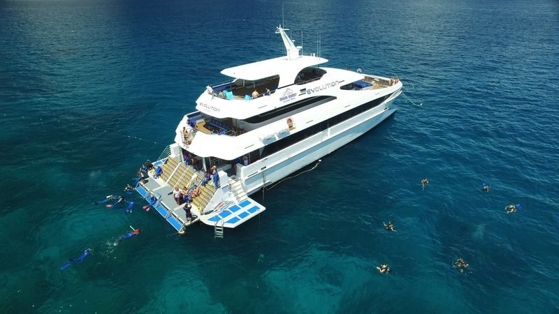 Great Barrier Reef Full Day Snorkel or Dive Tour from Cairns - Is the price good value?