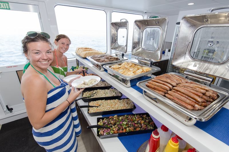 Great Barrier Reef Full Day Snorkel or Dive Tour from Cairns - Who will enjoy this trip most?