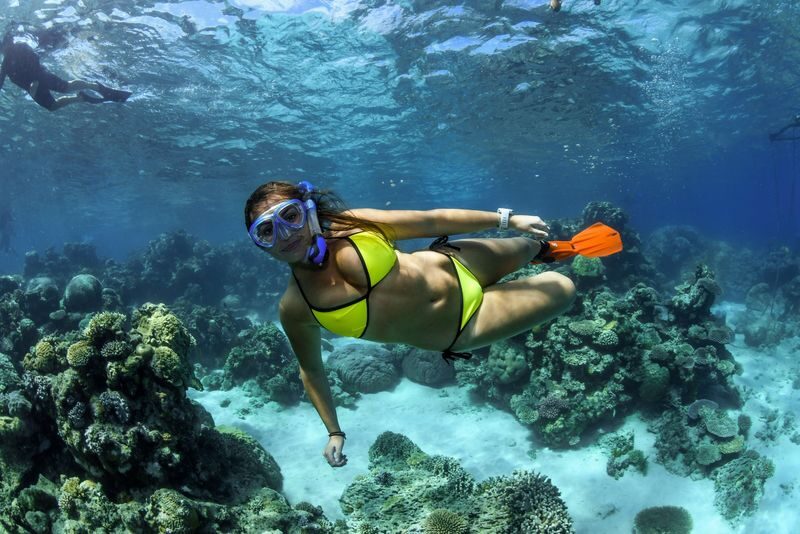 Great Barrier Reef Full Day Snorkel or Dive Tour from Cairns - Should you book the Evolution trip?