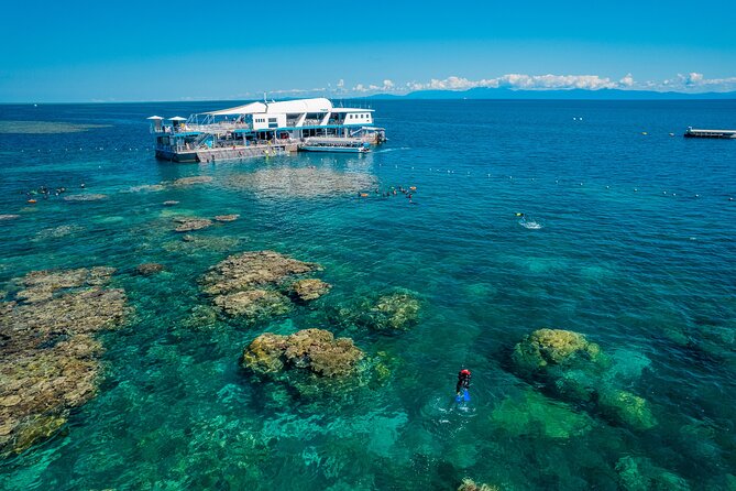 Great Barrier Reef Full-Day Snorkeling Cruise From Cairns  - Cairns & the Tropical North - Tour Overview