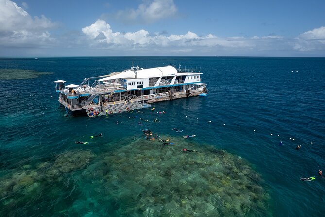 Great Barrier Reef Full-Day Snorkeling Cruise From Cairns  - Cairns & the Tropical North - Feedback and Recommendations