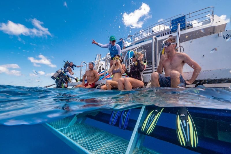 Great Barrier Reef Half Day and Full Day Tours - Green Island: a compact reef introduction