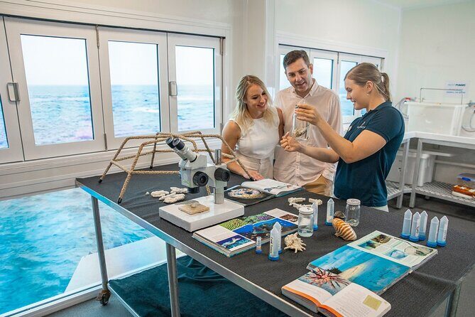 Great Barrier Reef Indulgence Package from Cairns - Who Is This Tour Best For?