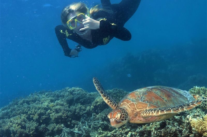 Great Barrier Reef Pontoon from Cairns including Snorkelling - Who will enjoy this reef trip