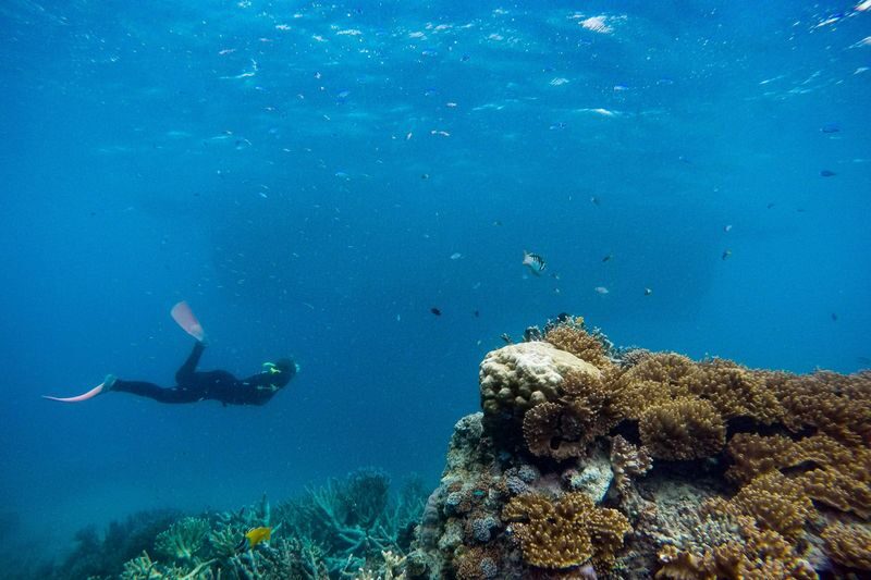 Great Barrier Reef Pontoon from Cairns including Snorkelling - Should you book the Great Barrier Reef pontoon?