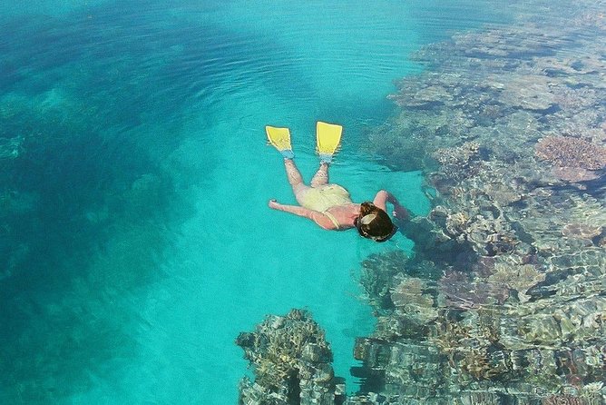 Great Barrier Reef Private Expedition Cruise (Min 4 Day Max 8 Guests) - Booking and Confirmation Details