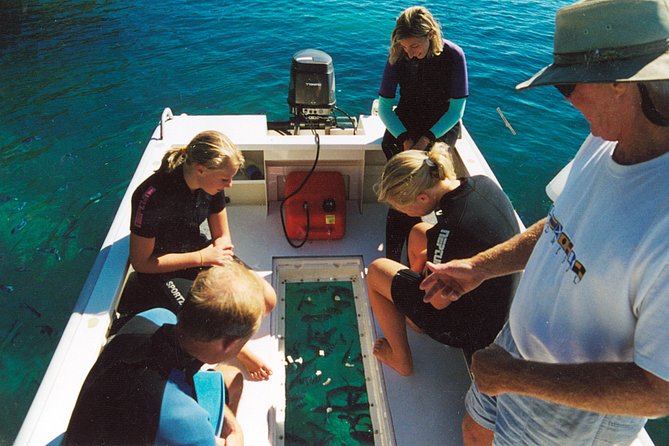 Great Barrier Reef Private Expedition Cruise (Min 4 Day Max 8 Guests) - Questions and Help
