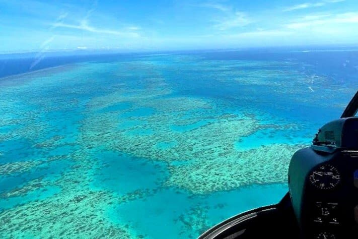 Great Barrier Reef Scenic Helicopter Flight from Cairns - Weather, whales and the best time to fly