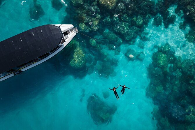 Great Barrier Reef Small Group Snorkelling Adventure - Good To Know