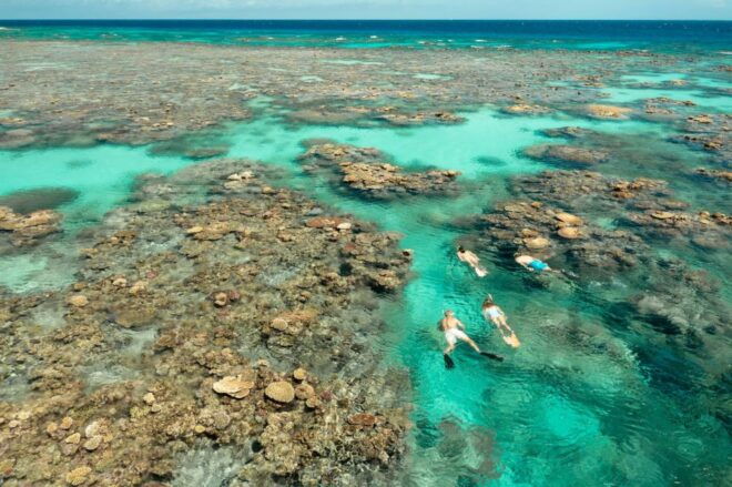 Great Barrier Reef Snorkel & Dive Full-Day Adventure - Additional Information