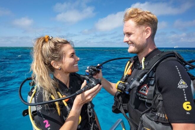 Great Barrier Reef Snorkel & Dive Full-Day Adventure - The Sum Up