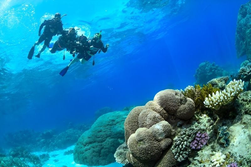 Great Barrier Reef Snorkel, Dive & Helicopter Full Day Tour - The return cruise and what the fare covers