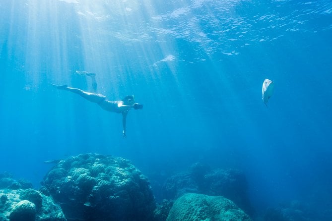 Great Barrier Reef Snorkeling and Diving Cruise From Cairns - Logistics and Requirements