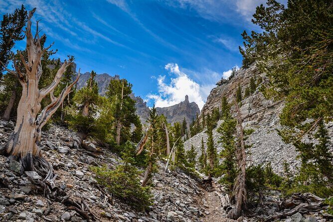 Great Basin National Park Self-Guided Audio Tour - FAQ