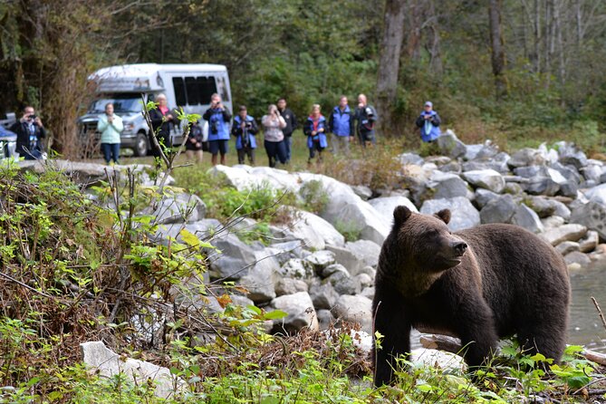 Great Bears of Bute: Grizzly Bear Viewing & Indigenous Cultural Tour - Tour Overview