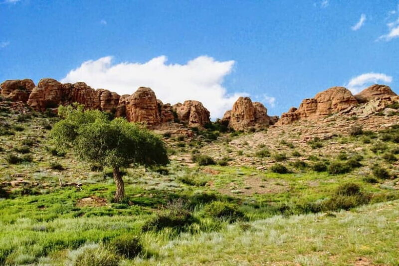 Great Gobi to Khuvsgul Lake 16 Days Tour - Packing Tips and Practical Advice