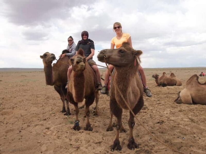 Great Gobi to Khuvsgul Lake 16 Days Tour - FAQs