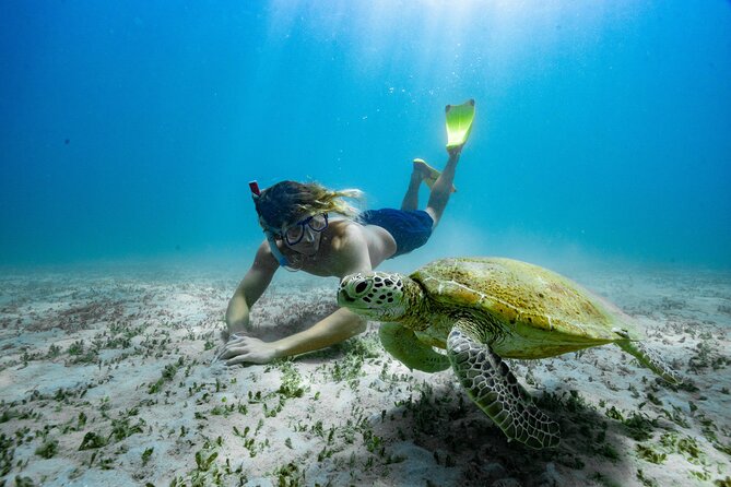 Great Keppel Island Glass Bottom Boat Tour & Ferry Transfer - Overview and Location