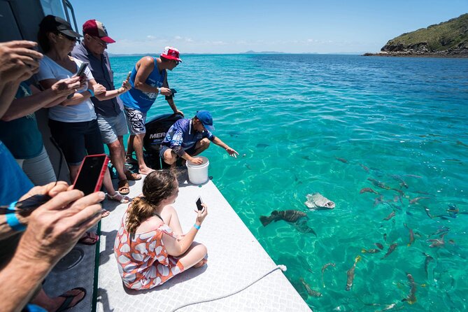 Great Keppel Island Glass Bottom Boat Tour & Ferry Transfer - Meeting and Pickup