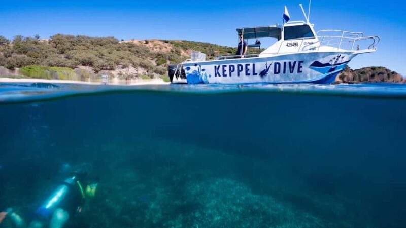 Great Keppel Island: PADI Discover SCUBA Diving - What Is the Discover Scuba Diving Tour All About?