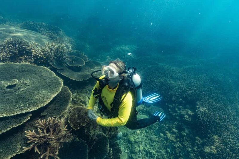 Great Keppel Island: PADI Discover SCUBA Diving - Authentic Insights from Reviews