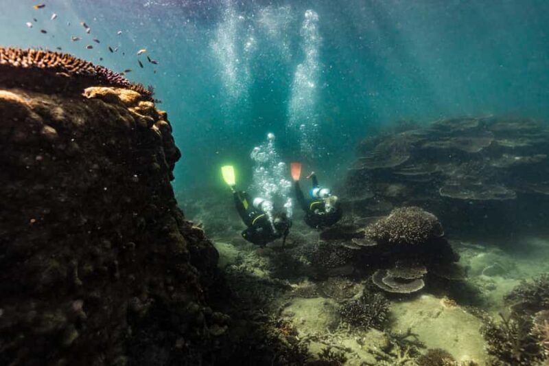 Great Keppel Island: PADI Discover SCUBA Diving - FAQs