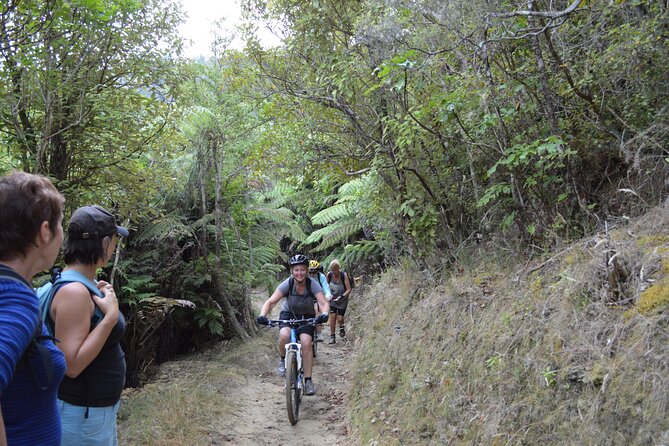 Great Lake Trail Lake Taupo 2-Day Mountain Biking Tour - Tour Overview