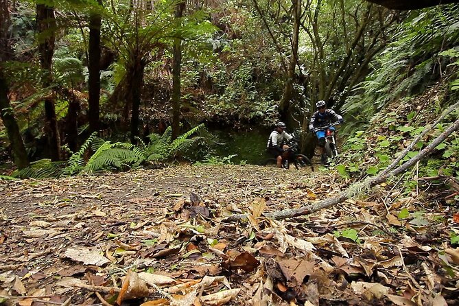 Great Lake Trail Lake Taupo 2-Day Mountain Biking Tour - Meeting and Cancellation Policy