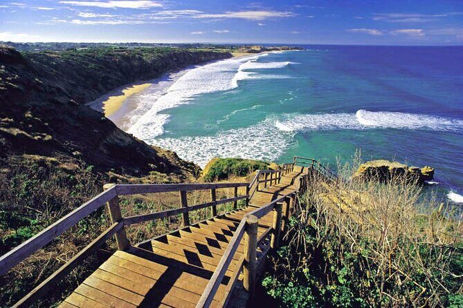 Great Ocean Road 12 apostles PRIVATE Luxury Tour 5 PAX all incl. - Why Choose the Great Ocean Road 12 Apostles Private Luxury Tour?
