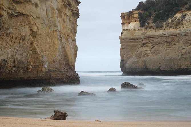 Great Ocean Road 12 Apostles Tour - Positive Reviews
