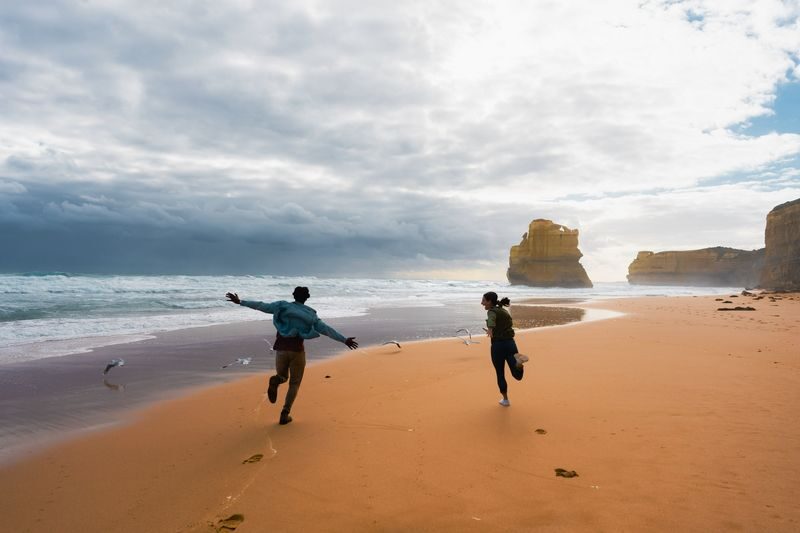 Great Ocean Road and 12 Apostles Day Tour - Kennett River is your best chance to spot a koala