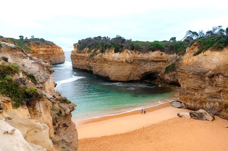 Great Ocean Road and 12 Apostles Day Tour - Maits Rest trades sea cliffs for old forest