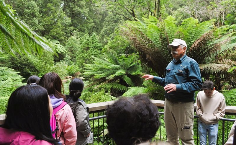 Great Ocean Road and 12 Apostles Day Tour by Go West Tours - The long ride back to Melbourne