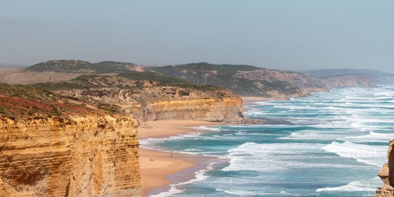 Great Ocean Road and 12 Apostles One Day Tour - Melba Gully changes the scenery from coast to forest