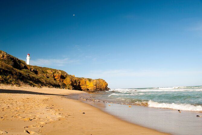 Great Ocean Road and 12 Apostles Tour - Authentic Experiences and Traveler Insights