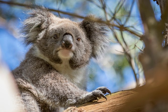 Great Ocean Road and Otway Discovery 2 Day Tour From Melbourne - Cancellation and Refund Policy