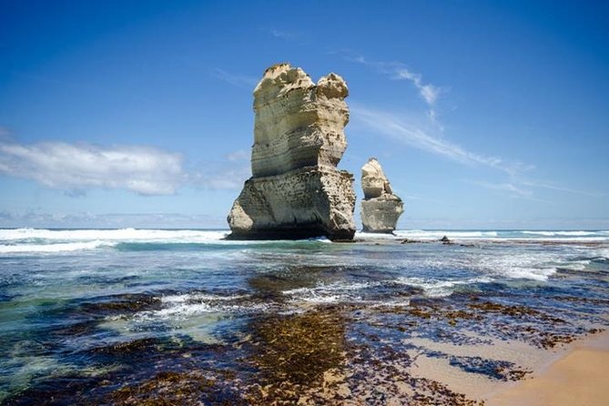 Great Ocean Road and Otway National Park Sightseeing Day Tour - Tour Logistics