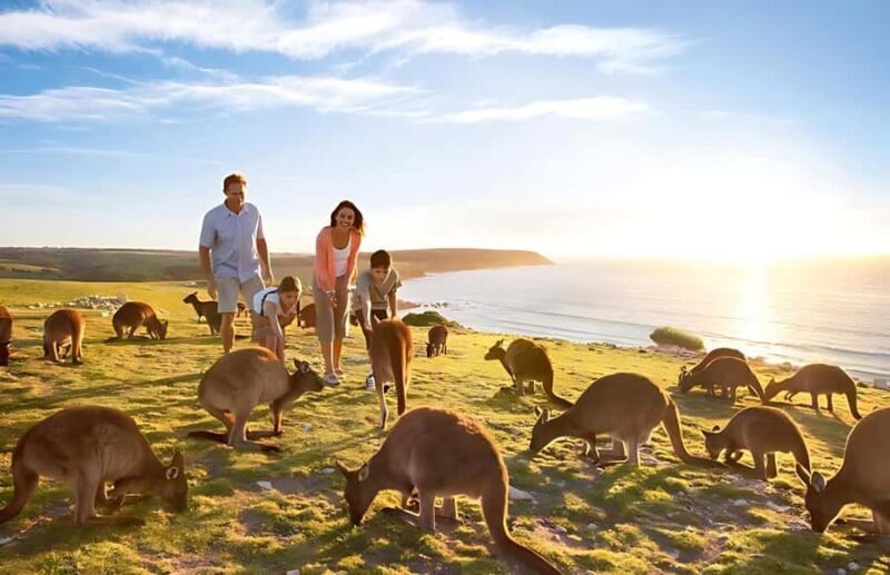 Great Ocean Road and Wildlife Day Tour - Who Will Love This Tour?