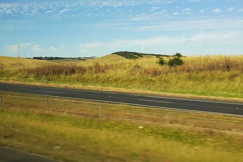 Great Ocean Road Coastal and Wildlife Adventure Tour - Who should choose this Great Ocean Road tour?