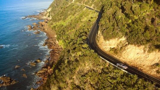 Great Ocean Road Coastal Spectacular & Wildlife Luxe Bus Tour - Wildlife Wonders, beyond the roadside stops