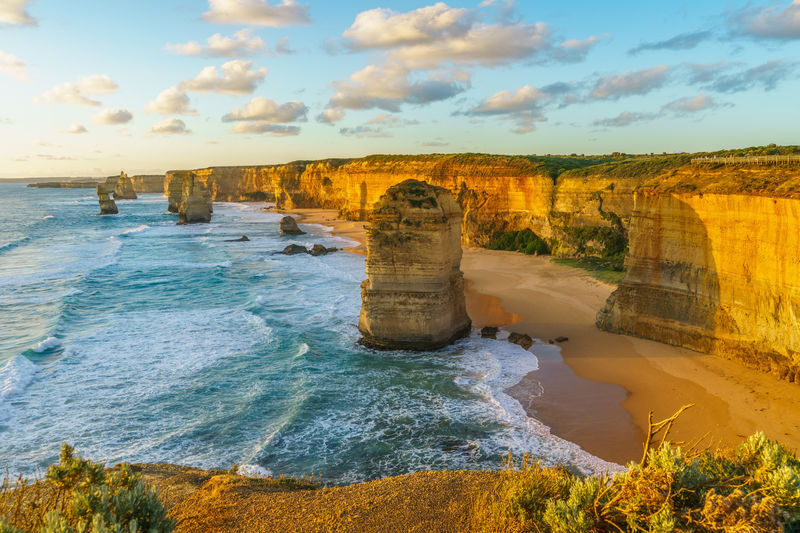 Great Ocean Road Day Tour - Wildlife is a welcome bonus, not a promise