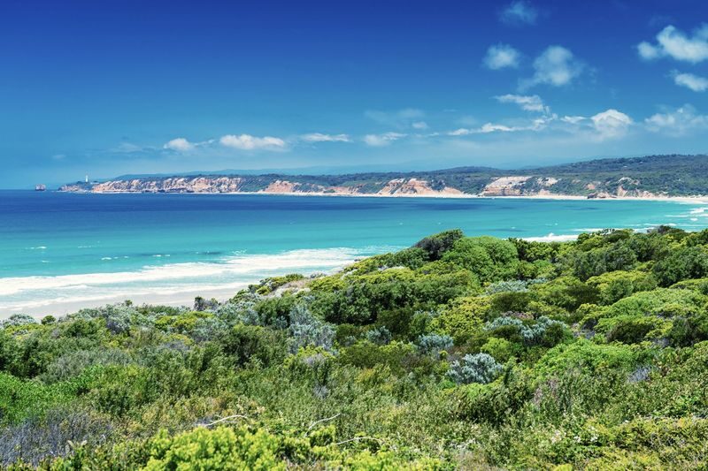 Great Ocean Road Day Tour from Melbourne with Chinese Guide - Who should take this tour?
